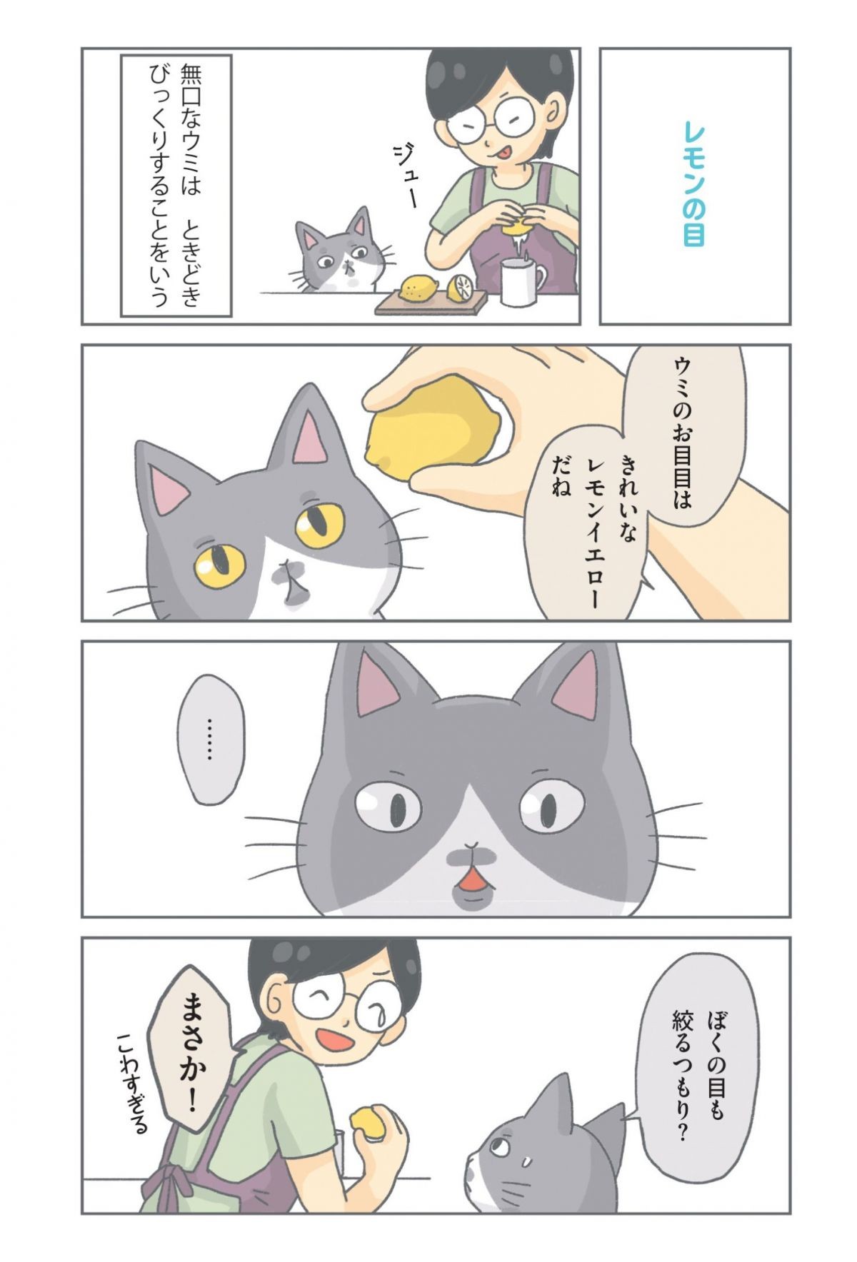 保護ねこ物語