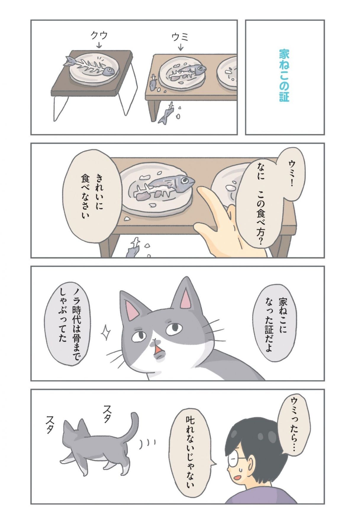 保護ねこ物語