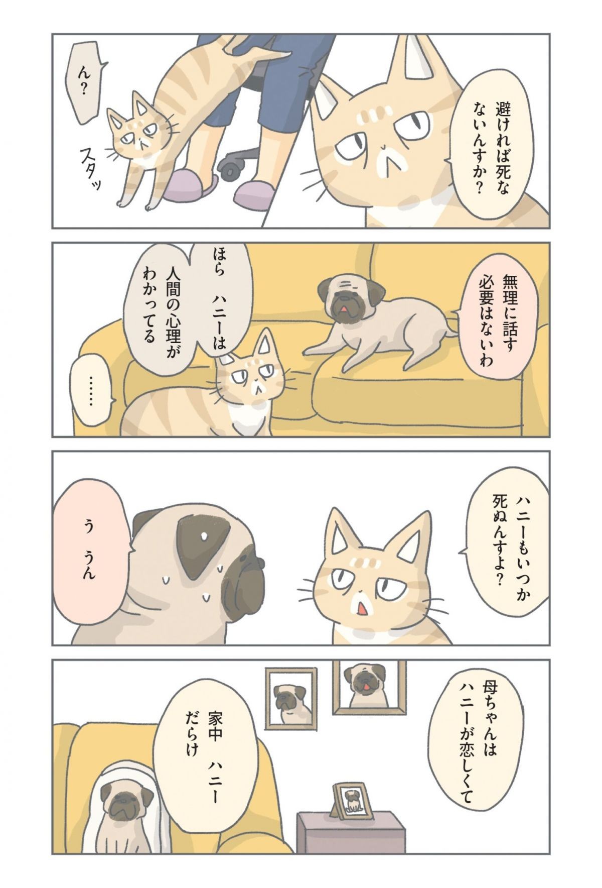 保護ねこ物語