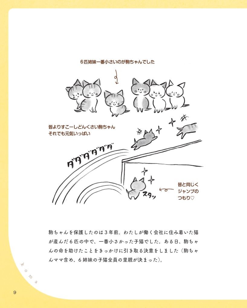 猫がいるしあわせ
