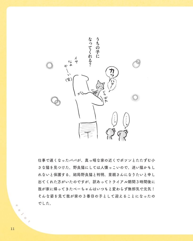 猫がいるしあわせ