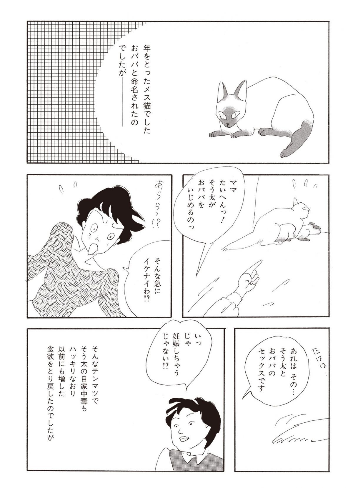 ねこのふしぎ話