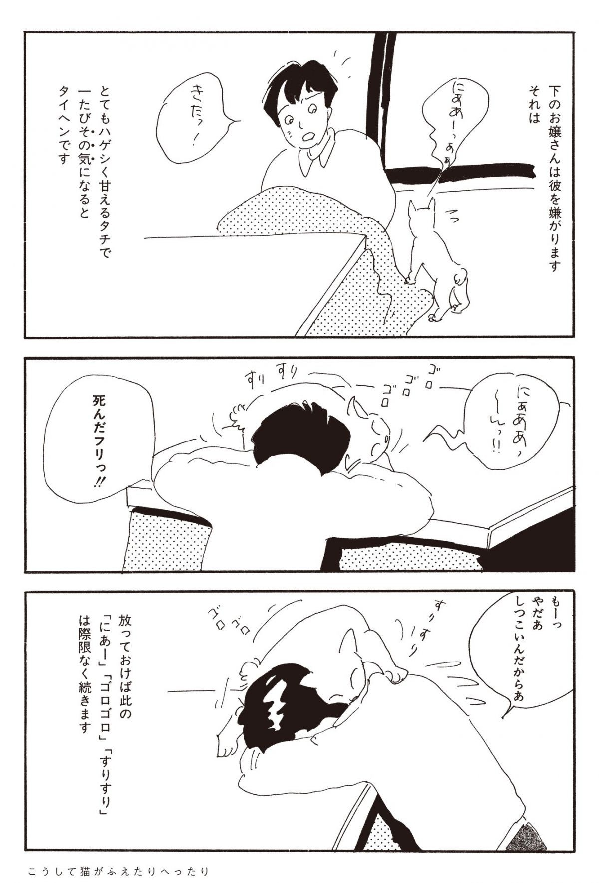 ねこのふしぎ話