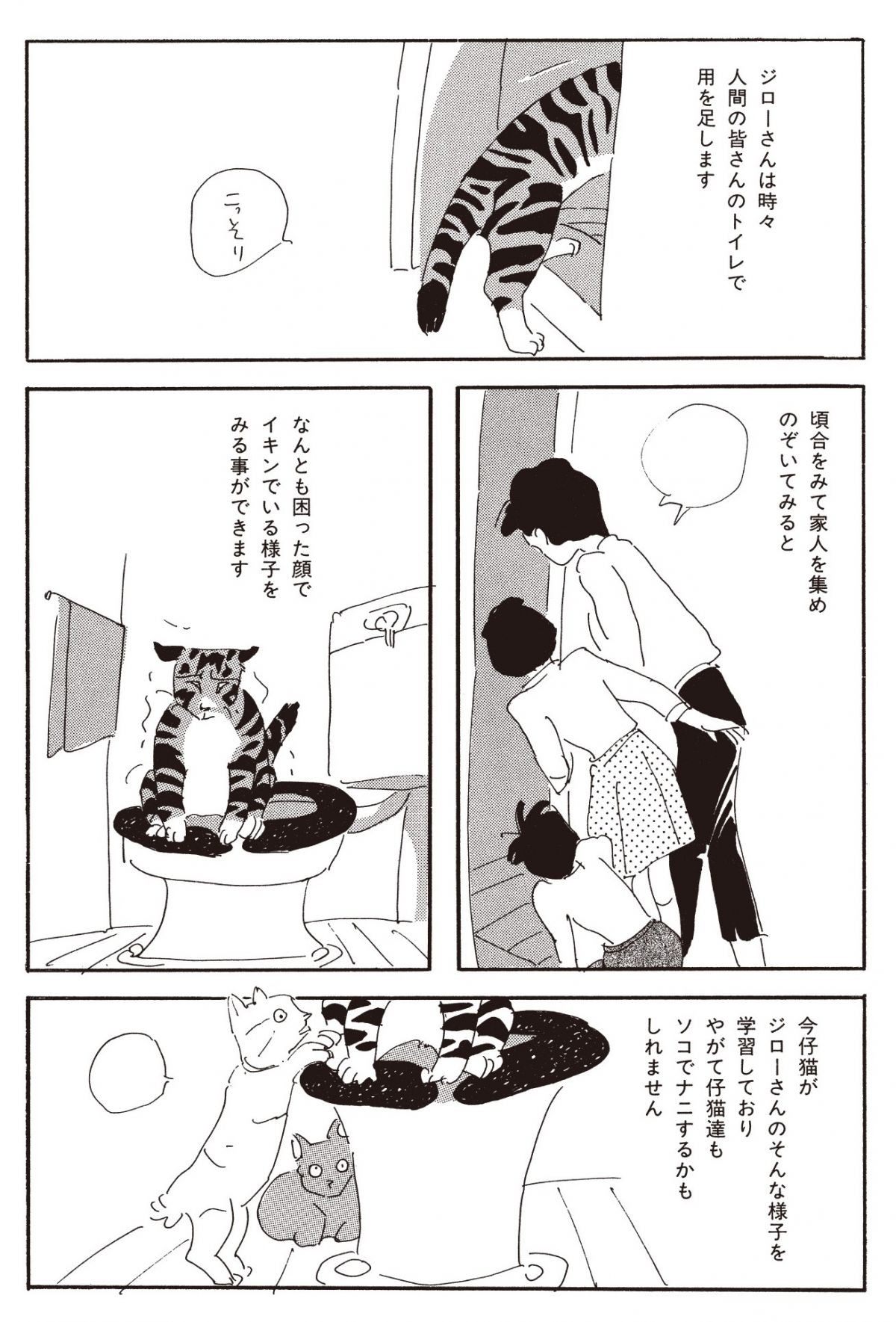 ねこのふしぎ話