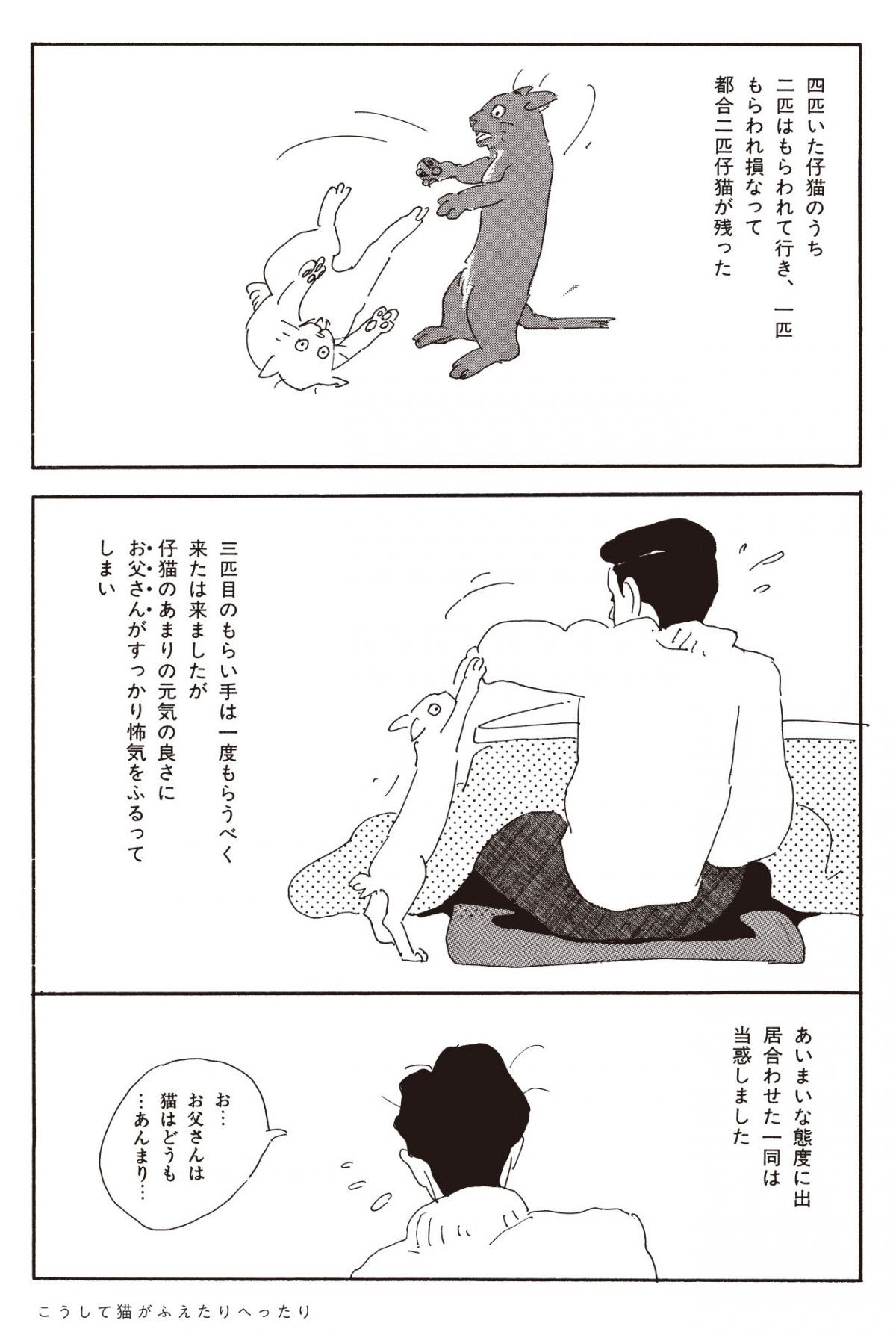 ねこのふしぎ話