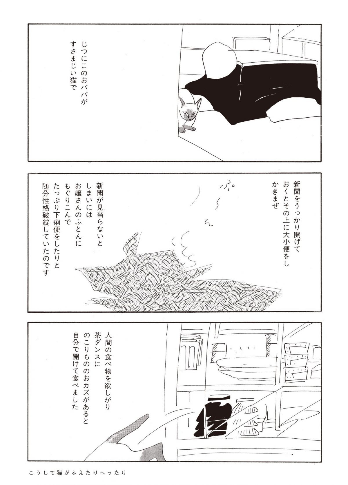 ねこのふしぎ話