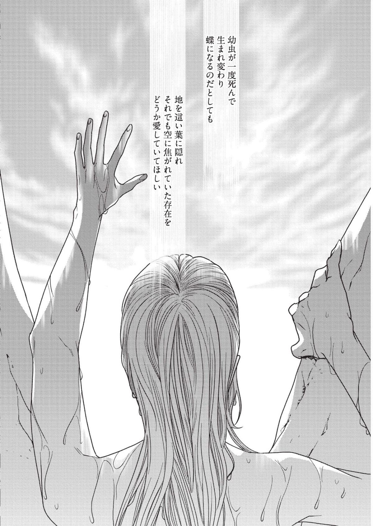 箱庭綺談