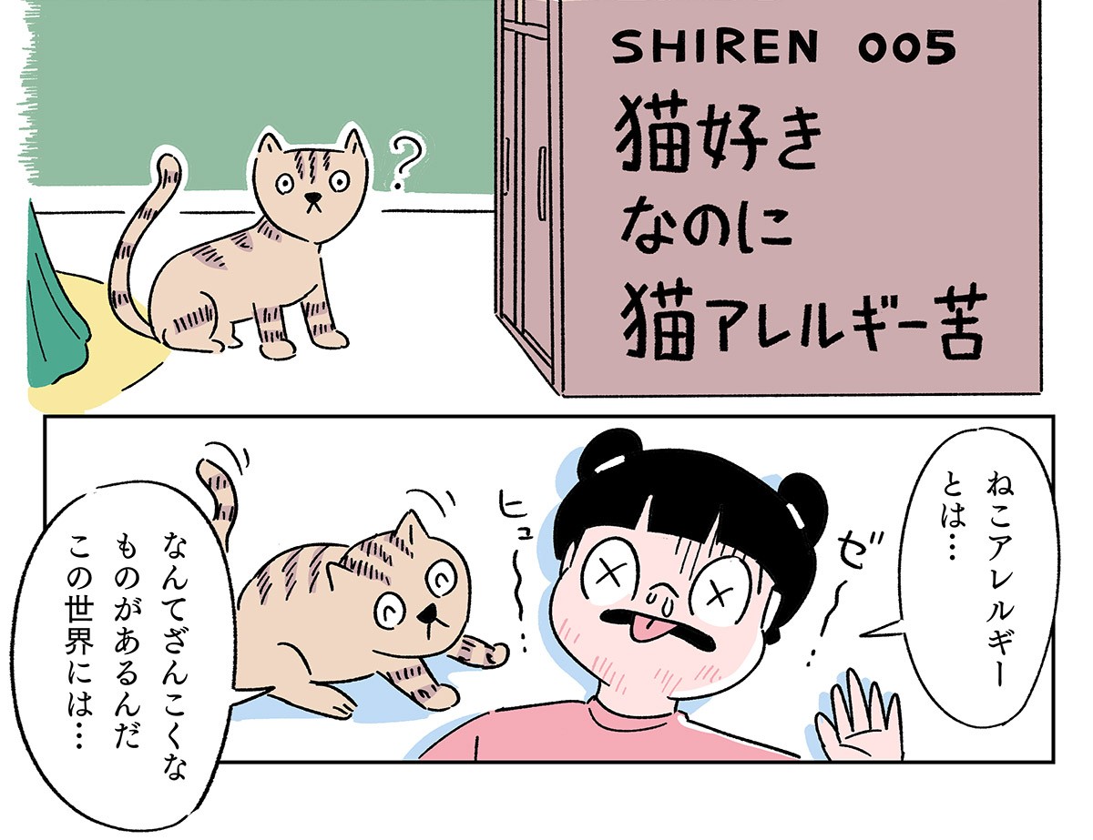 猫好きの猫アレルギー 猫好きなのに猫アレルギー苦/うぶこへ！DAY5 | ダ・ヴィンチWeb