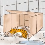 ねこねこネットワーク！ Amazon.co.jp: NNNからの使者 猫だけが知っている (ハルキ文庫