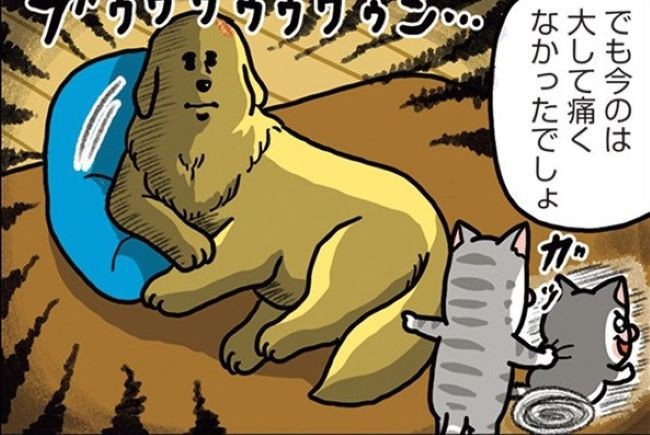 他人の痛みには鈍感なのに…なぜ？ 自分の痛みにだけ敏感な犬