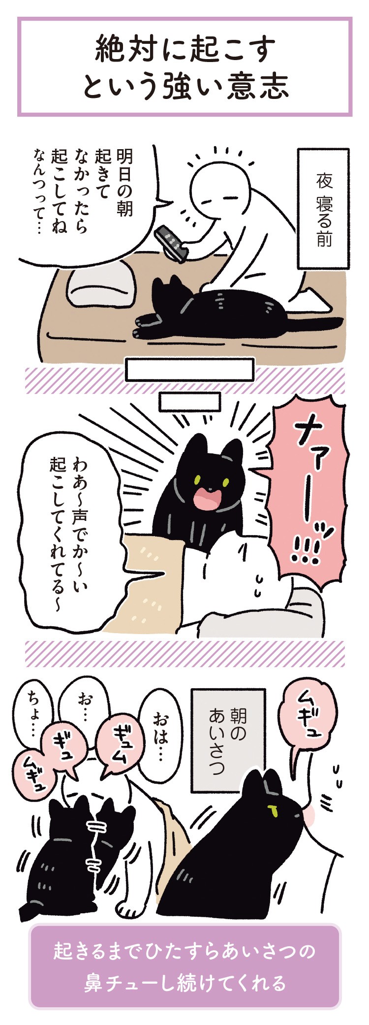 黒猫ろんと暮らしたら6
