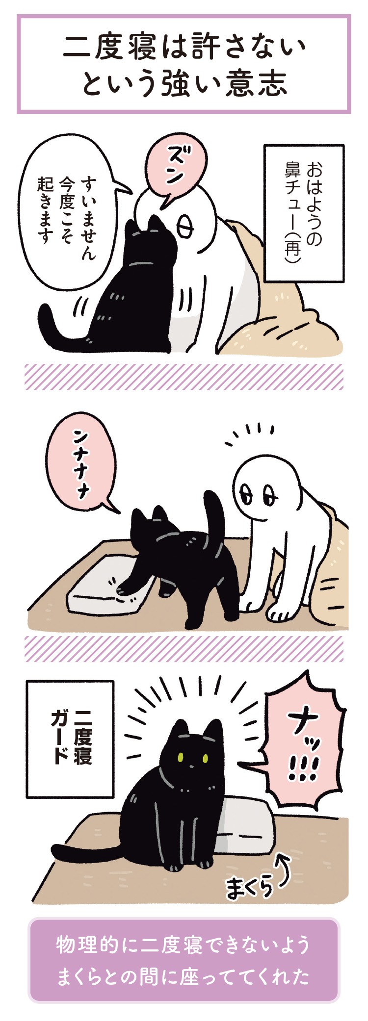 黒猫ろんと暮らしたら6