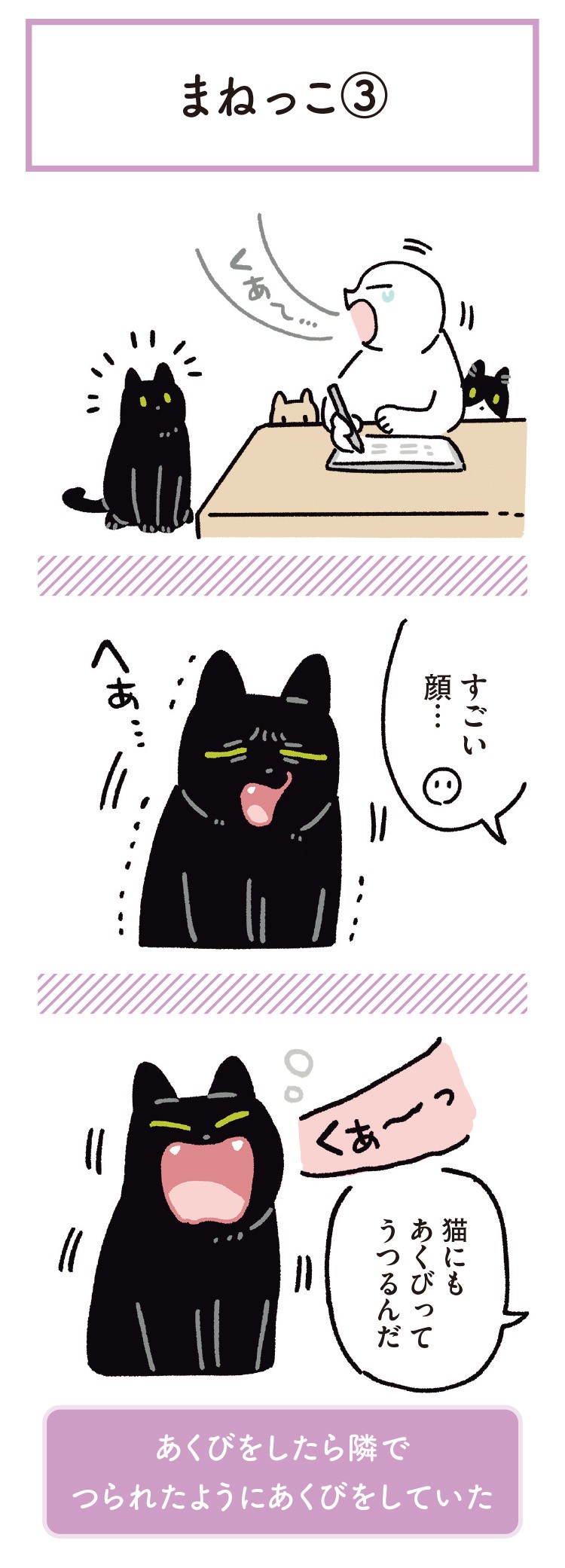 黒猫ろんと暮らしたら6