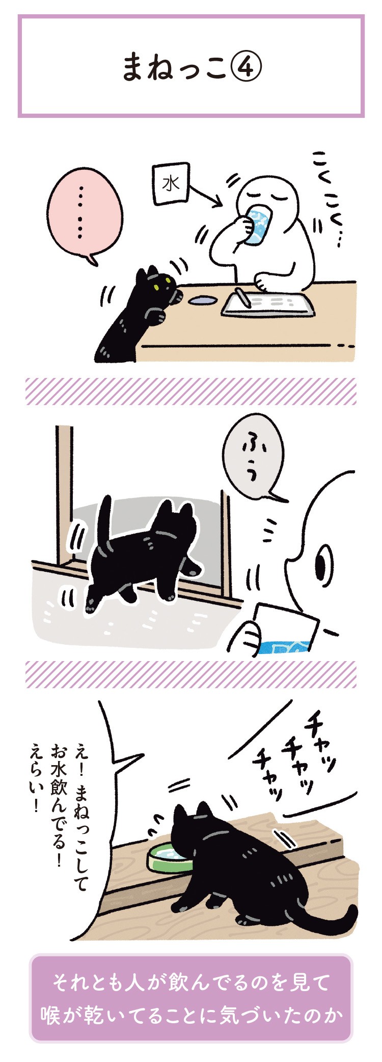 黒猫ろんと暮らしたら6