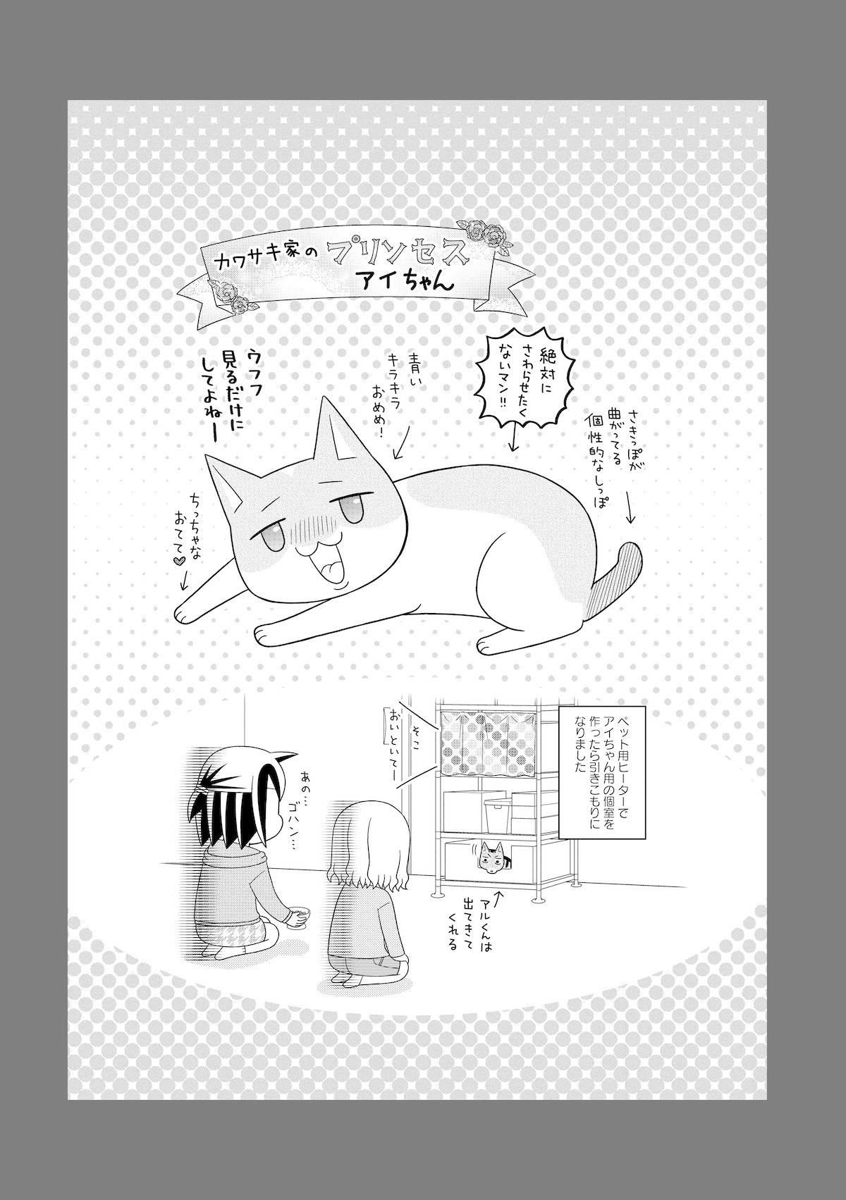 猫が4匹いる暮らし