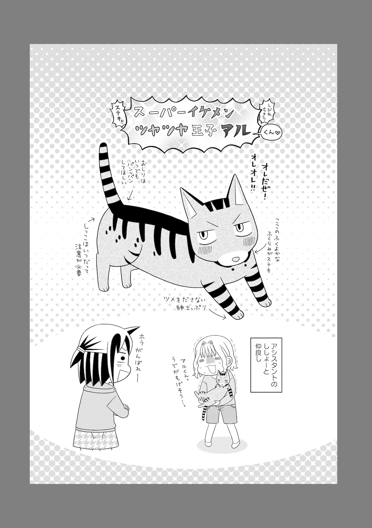 猫が4匹いる暮らし