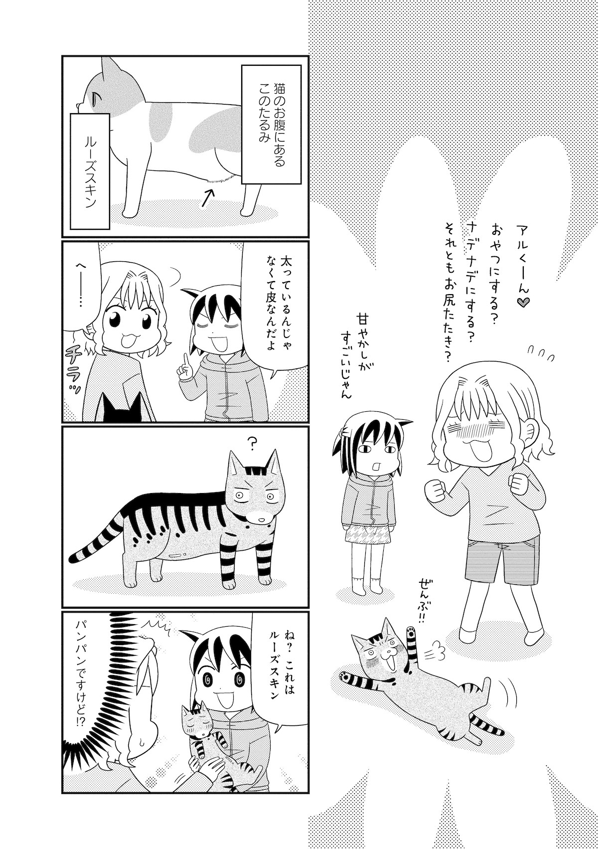 猫が4匹いる暮らし
