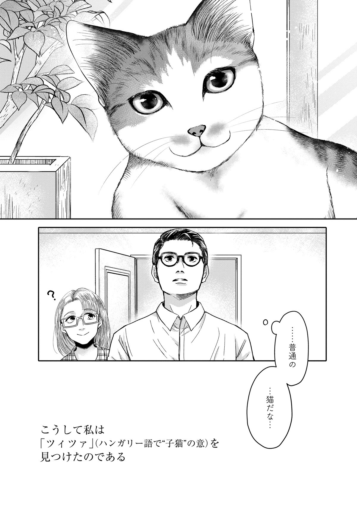 猫語の教科書