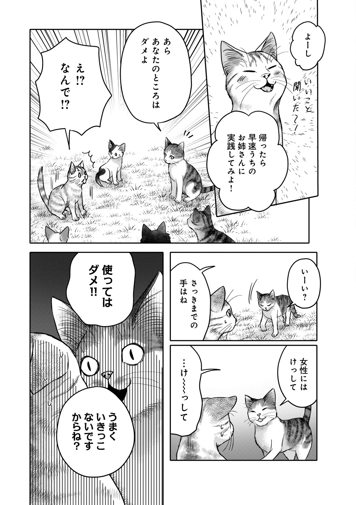 猫語の教科書