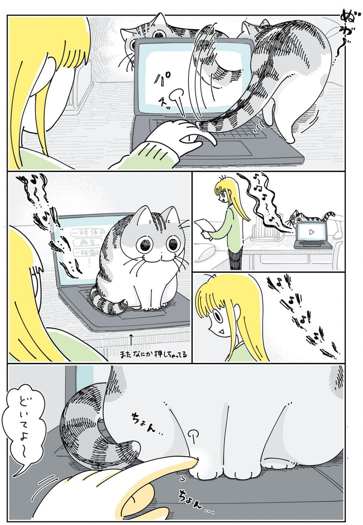 夜は猫といっしょ6
