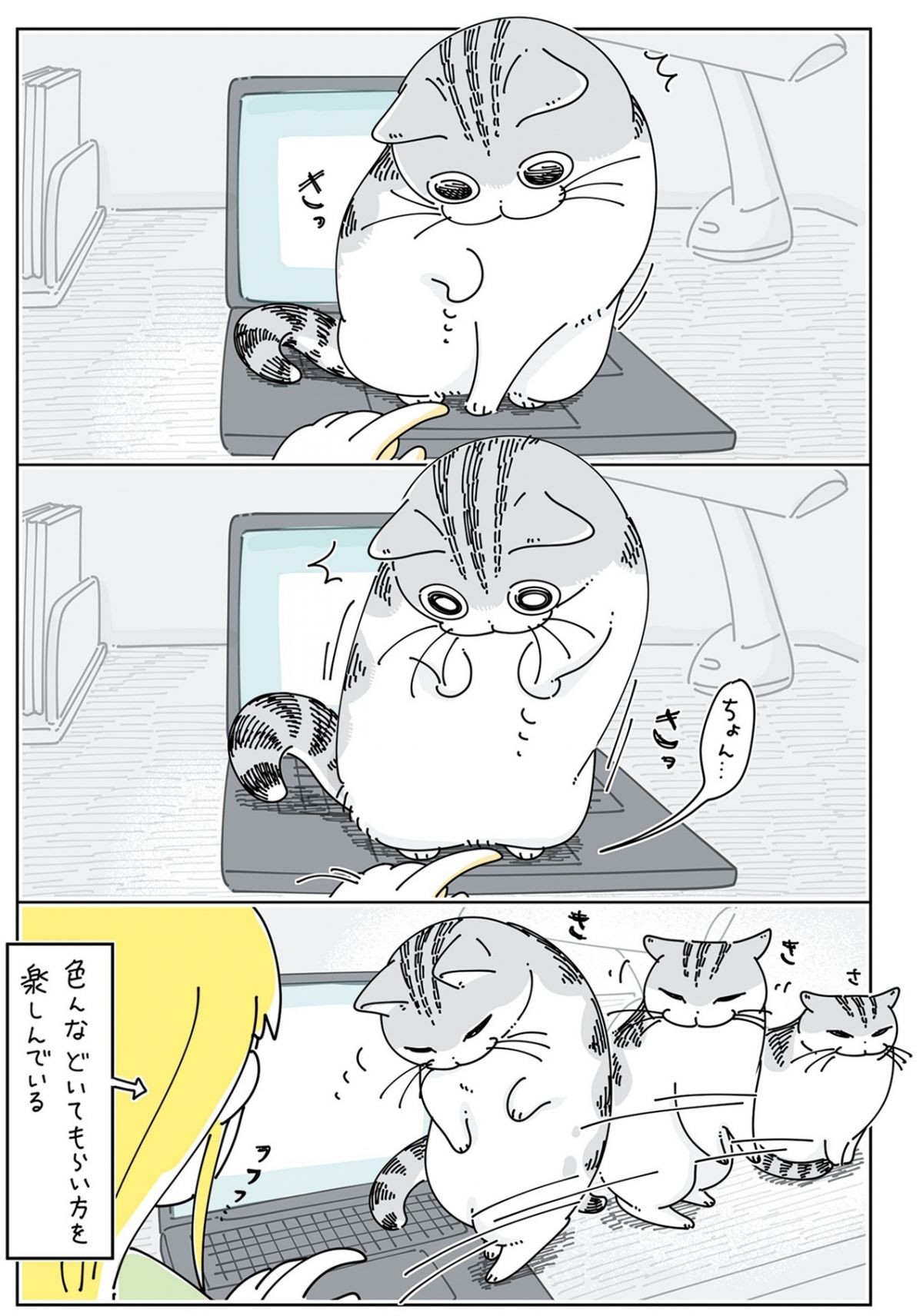 夜は猫といっしょ6