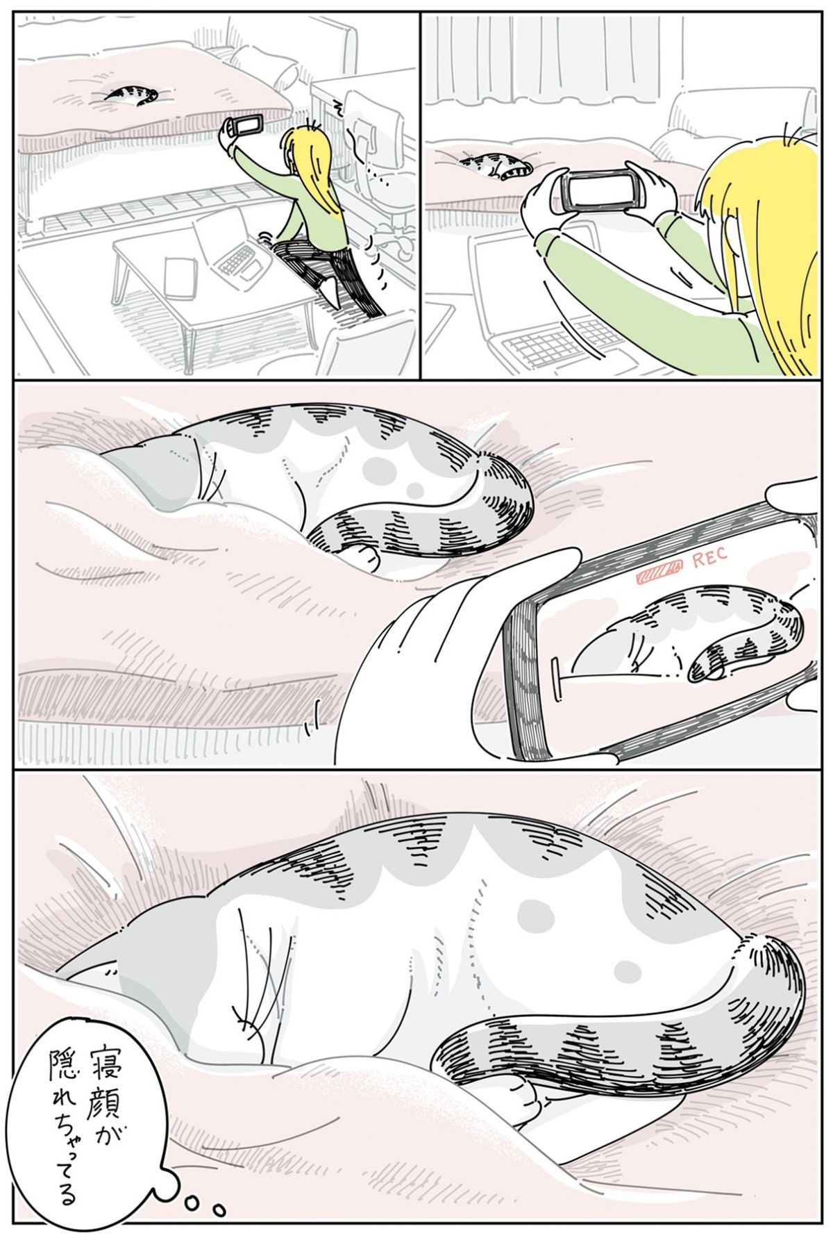 夜は猫といっしょ6