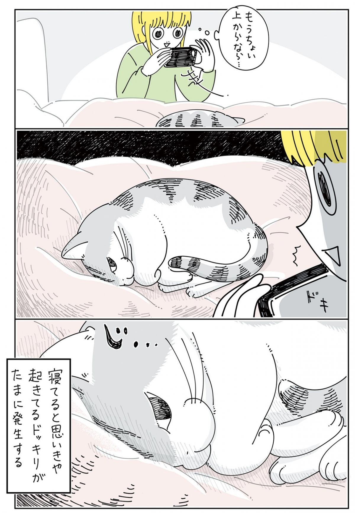 夜は猫といっしょ6