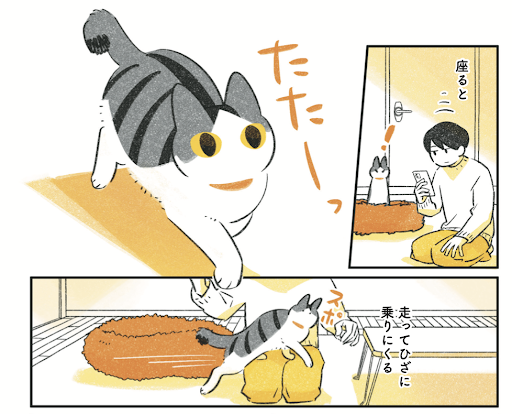 じじ猫くらし
