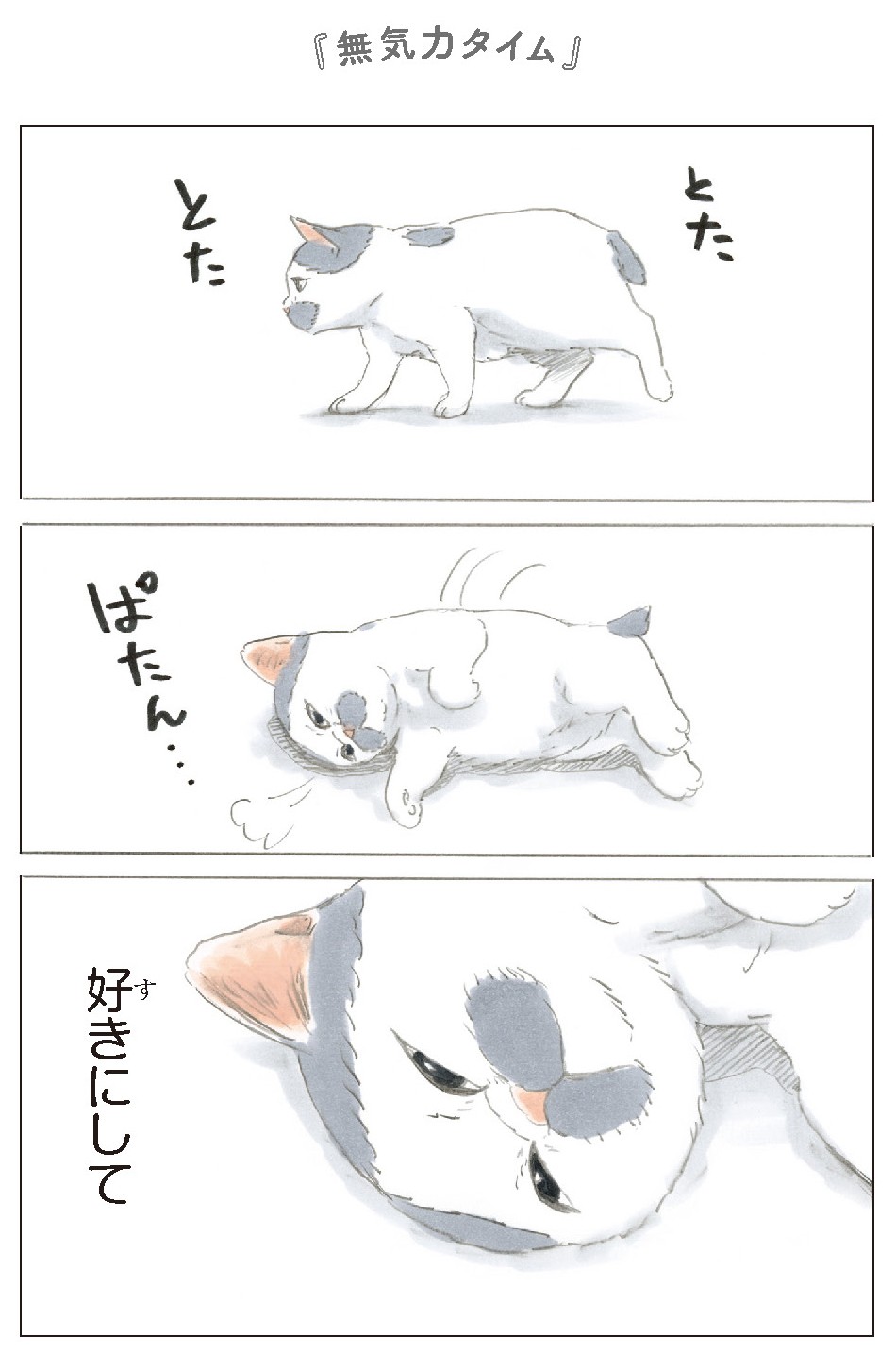 拾い猫のモチャ