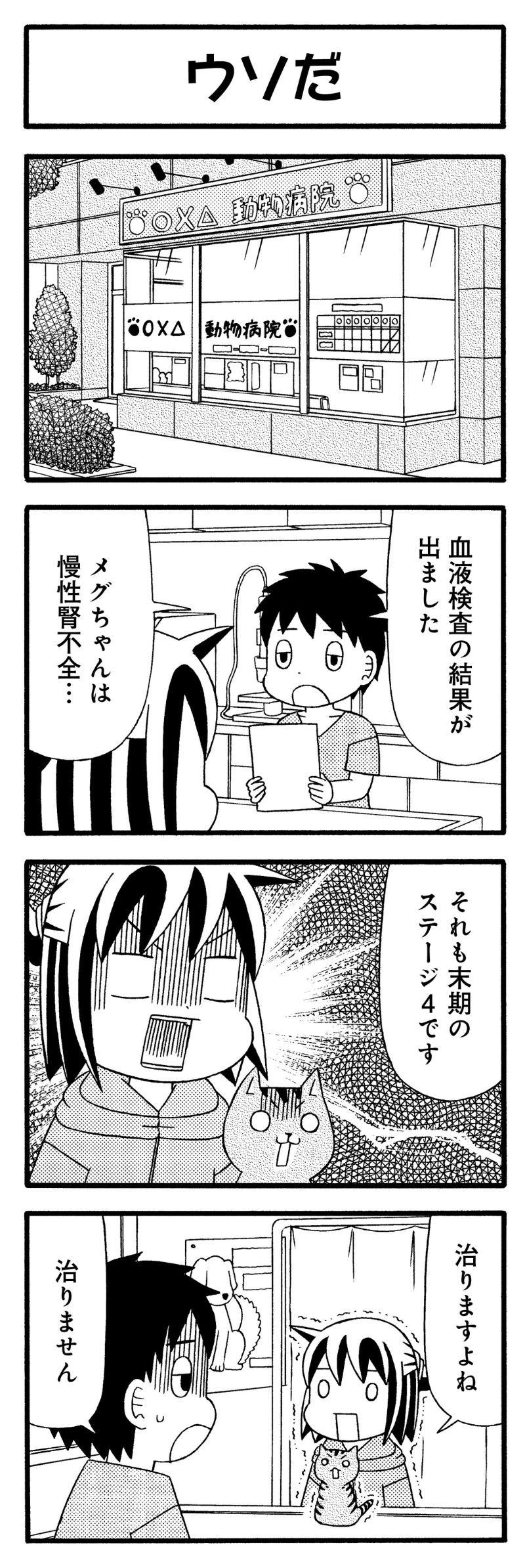 猫が4匹いる暮らし