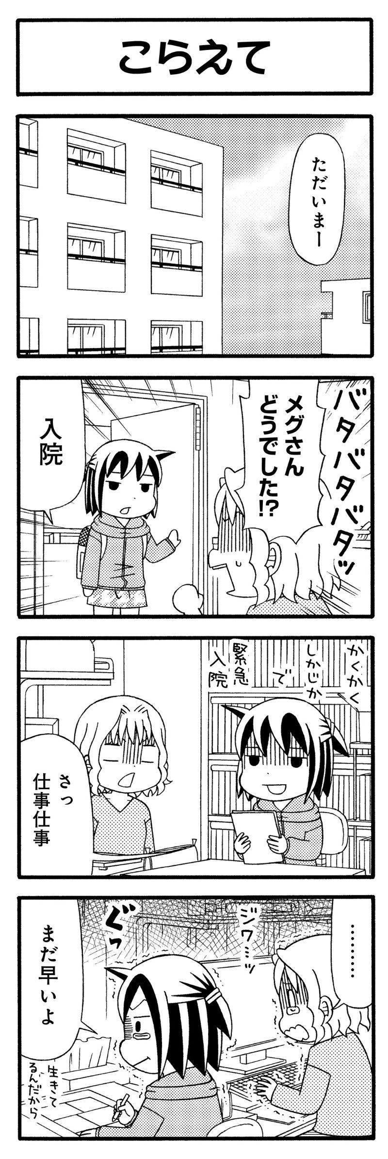猫が4匹いる暮らし
