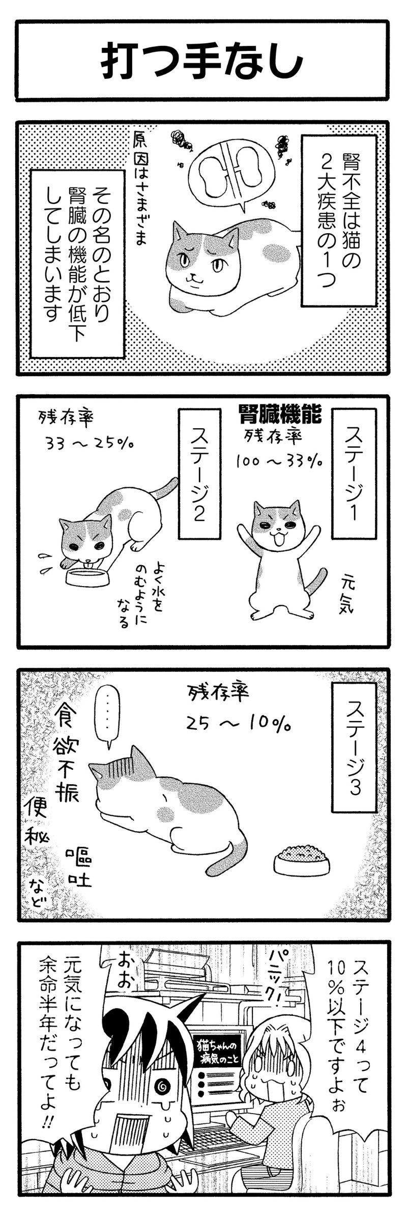 猫が4匹いる暮らし