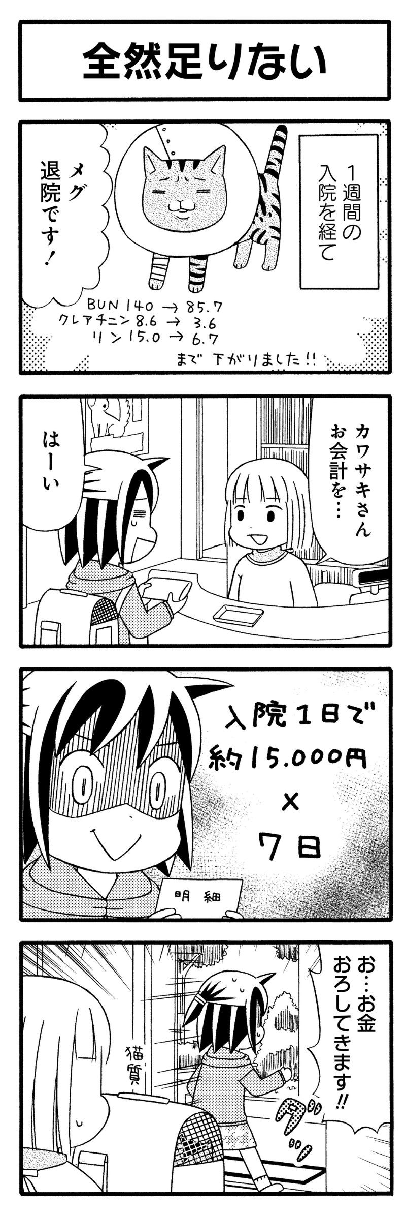 猫が4匹いる暮らし