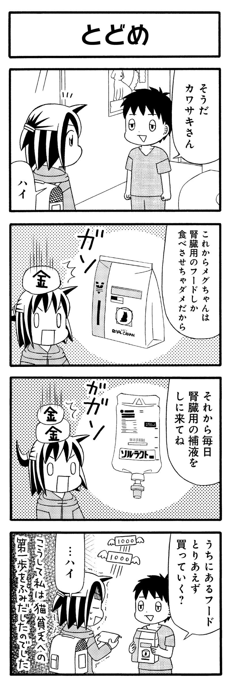 猫が4匹いる暮らし