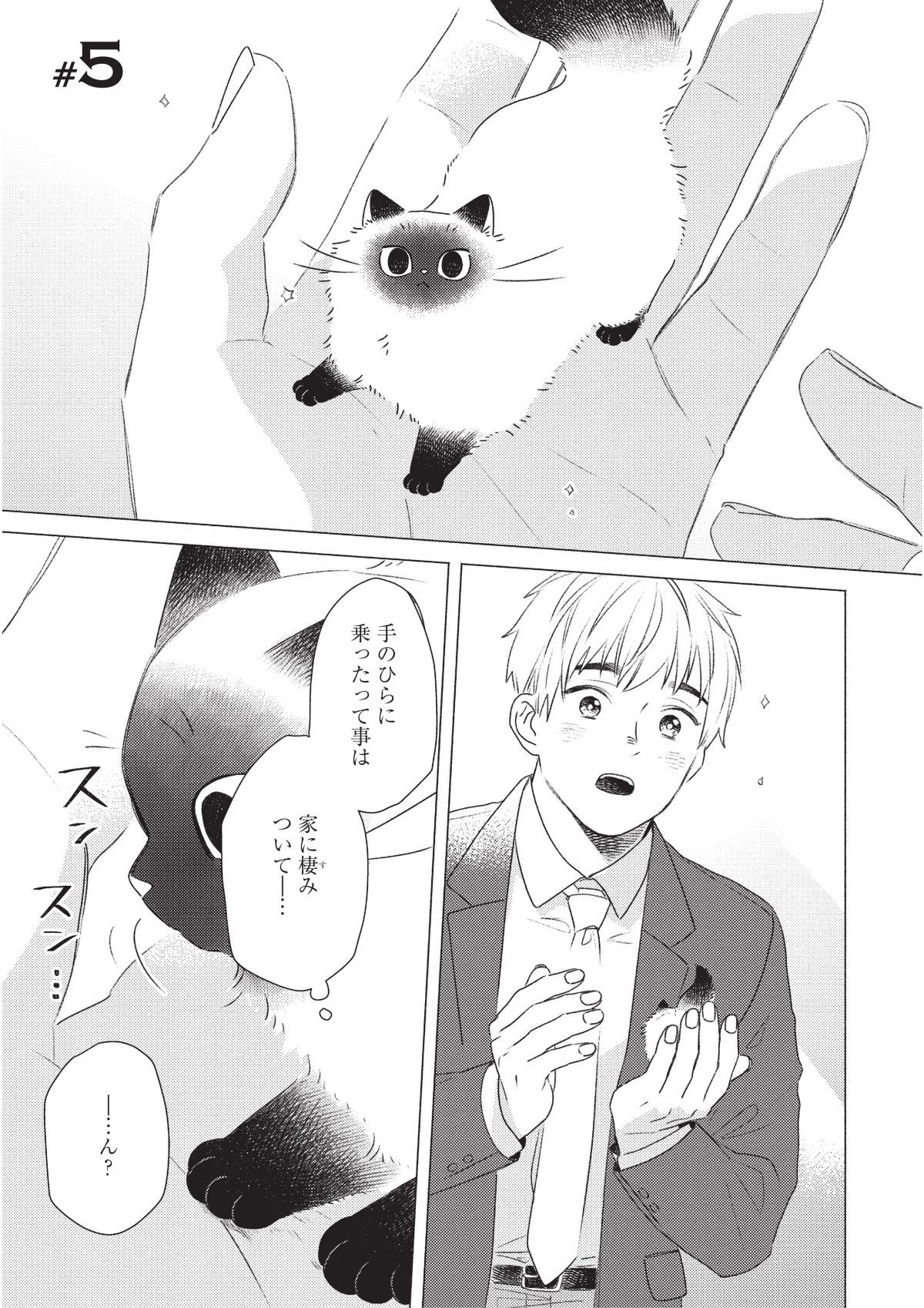 手のひらねこ
