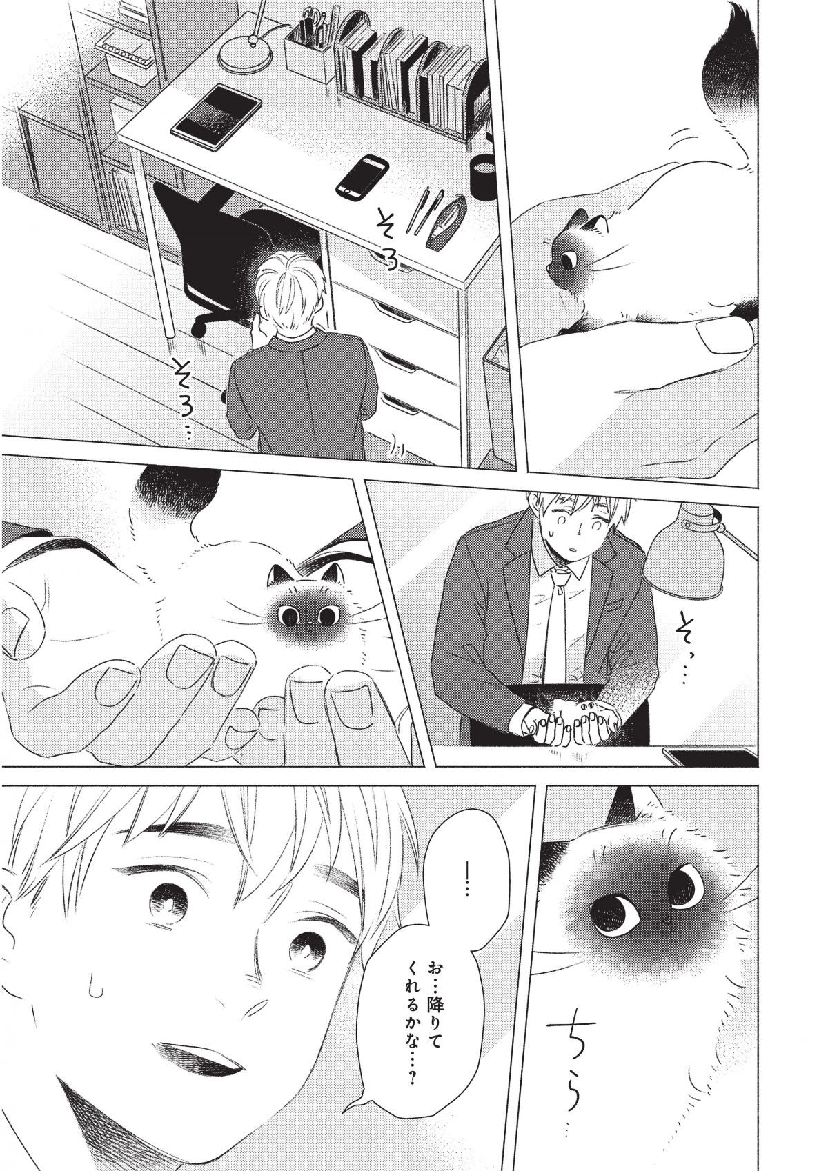 手のひらねこ