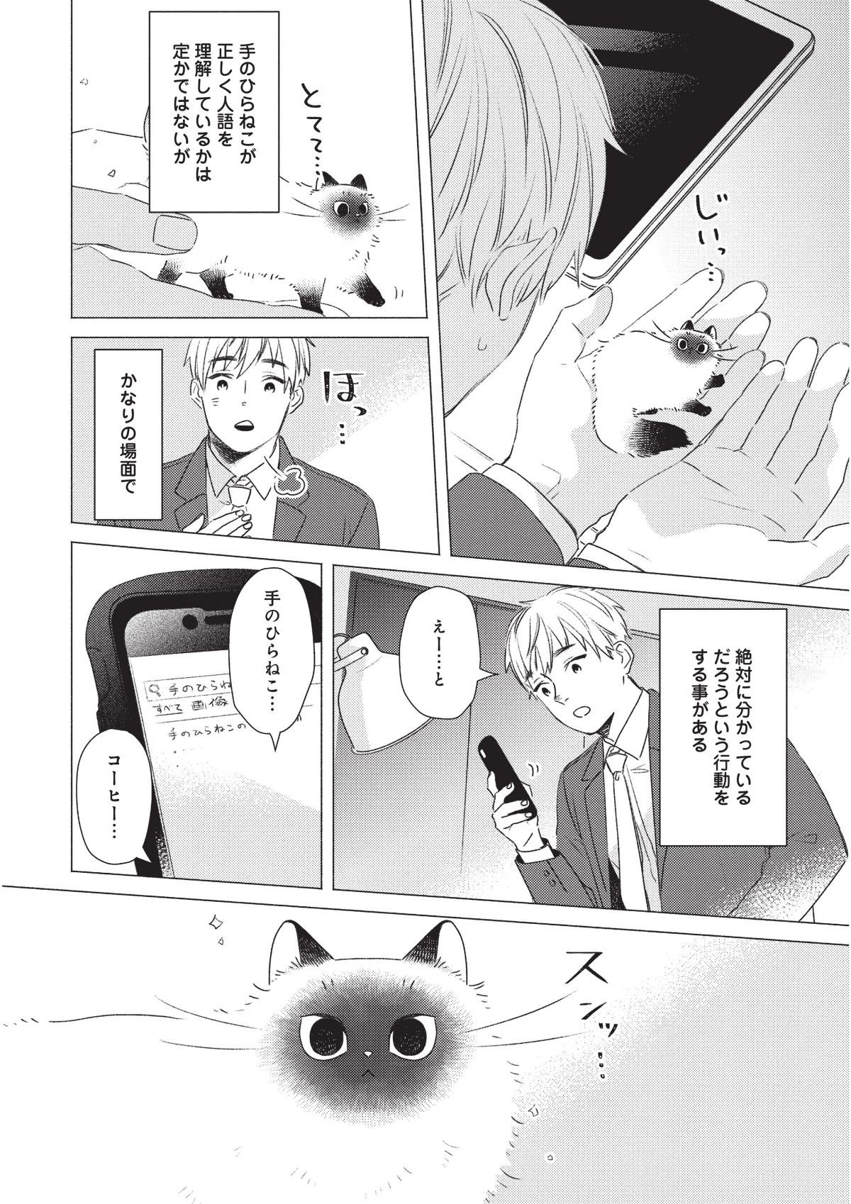 手のひらねこ