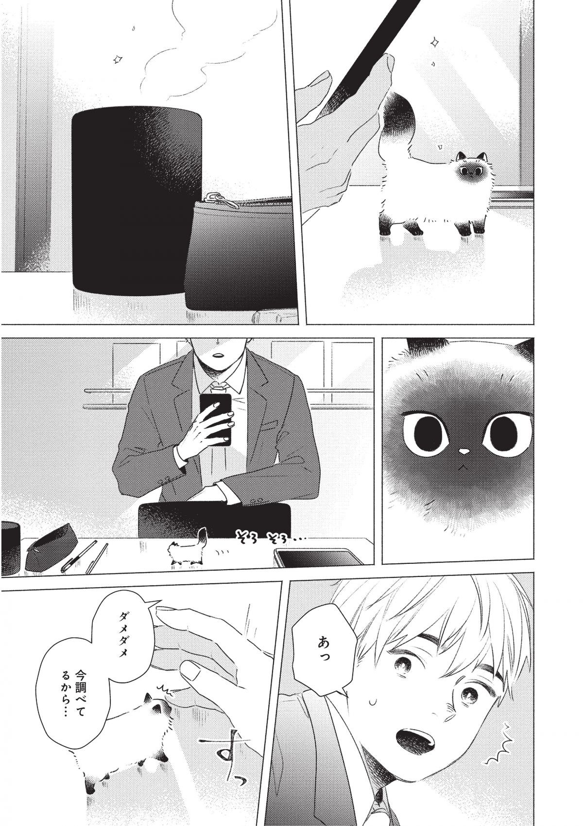 手のひらねこ