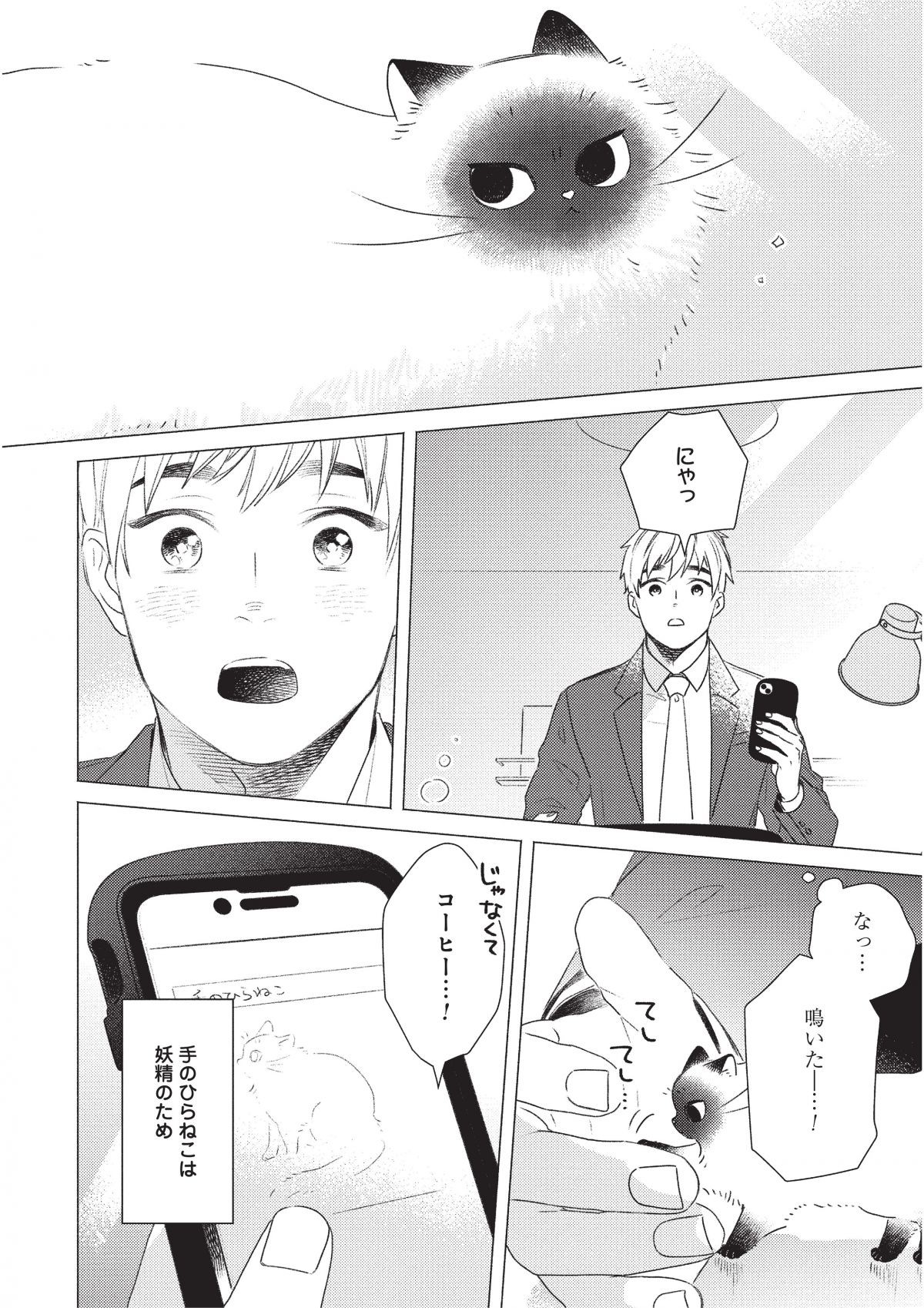 手のひらねこ