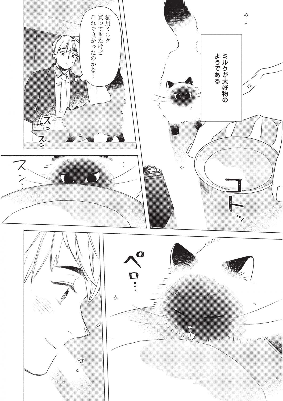 手のひらねこ