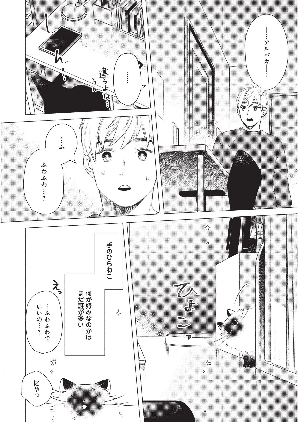 手のひらねこ