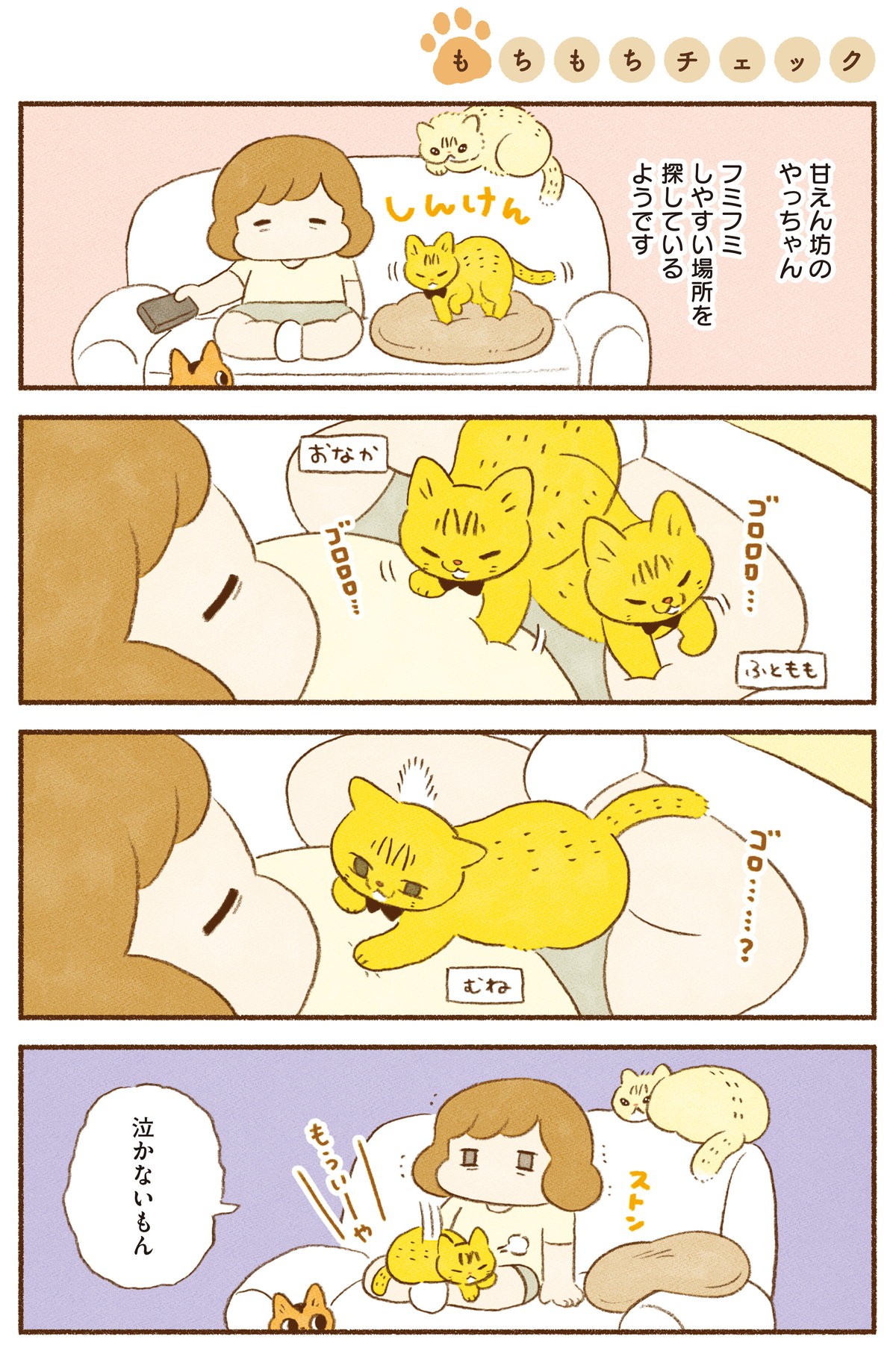 しまねこ3姉妹と暮らしています　深まるきずな編