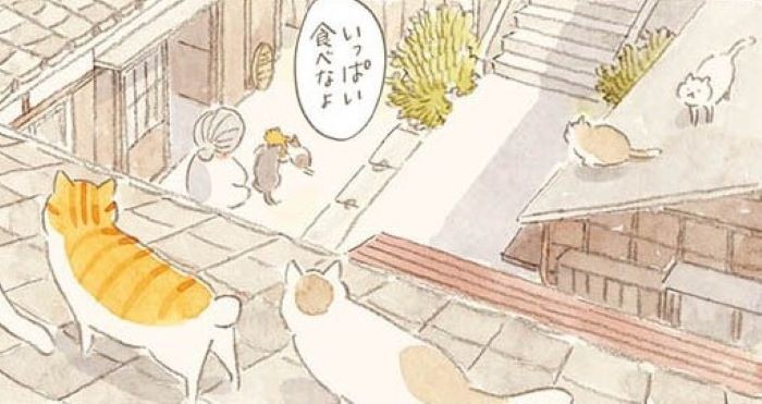 ねこページ 楽天市場】【ヒルナンデスで紹介の第2弾！】ねこのまちがいさがし2