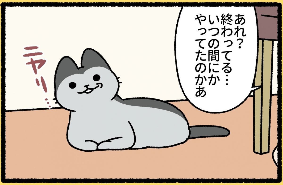 猫が家に来てから仕事が順調だけど、悪いことも起きる…“あくま