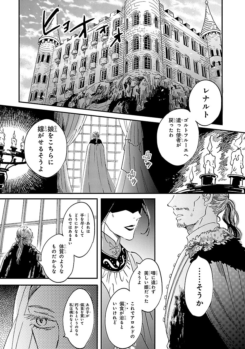 エイラと外つ国の王