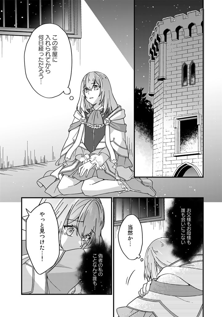 偽りの聖女は竜国の魔法使いになりました1