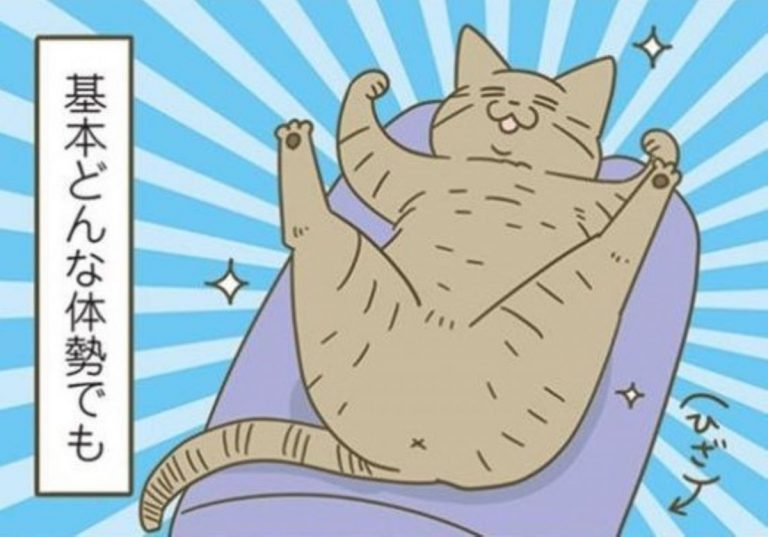 どんな体勢でもどんとこい！ お尻をグイグイ押し付けてくる猫が可愛