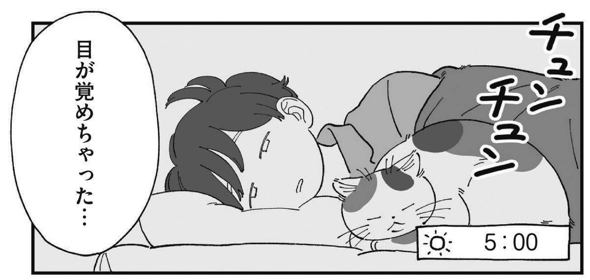 ぱじゃまご飯