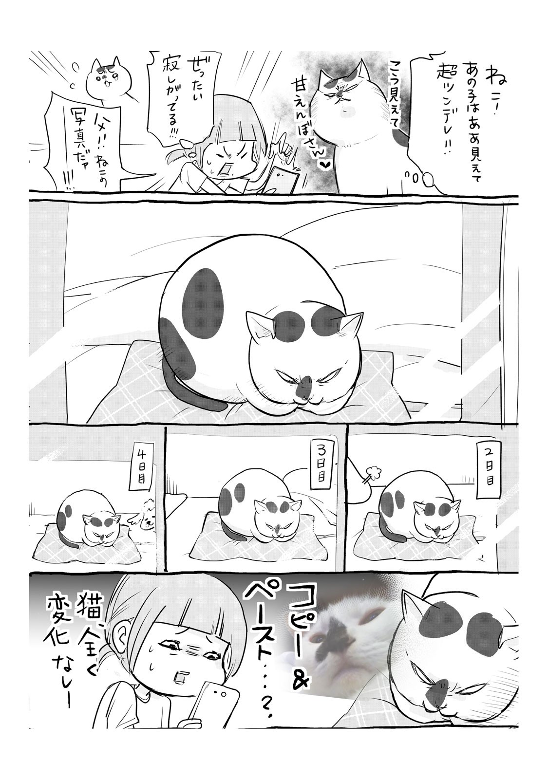 犬と猫どっちも飼ってると毎日たのしい