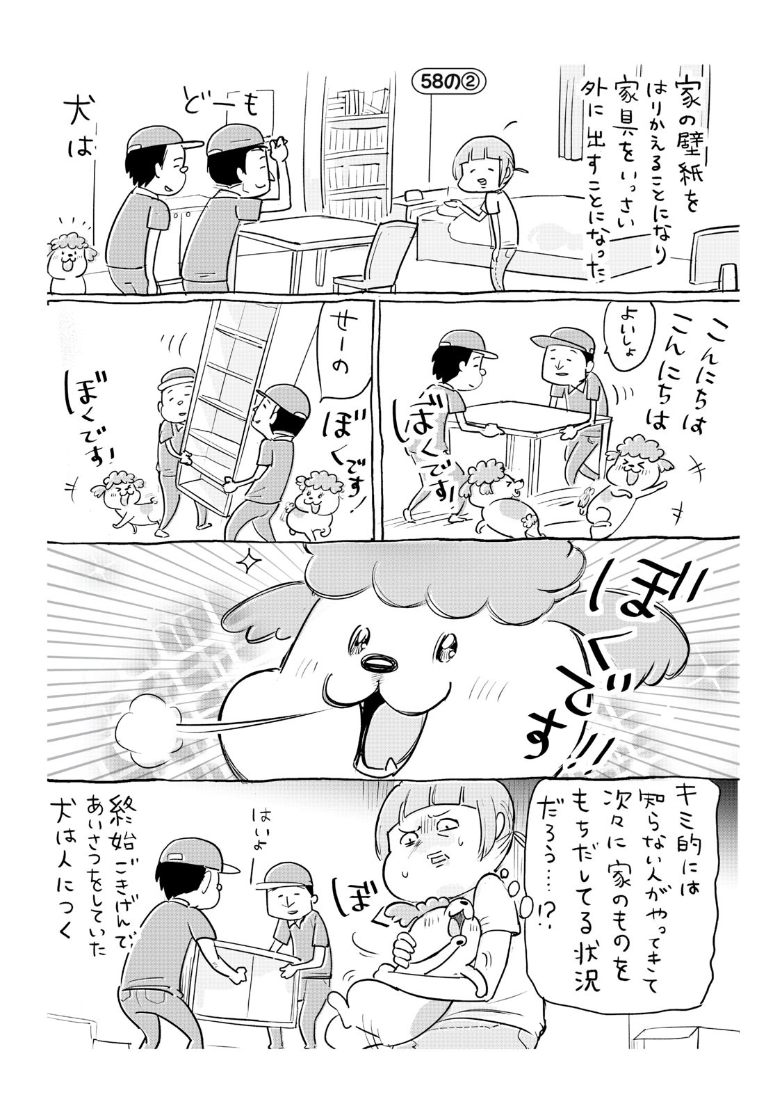 犬と猫どっちも飼ってると毎日たのしい